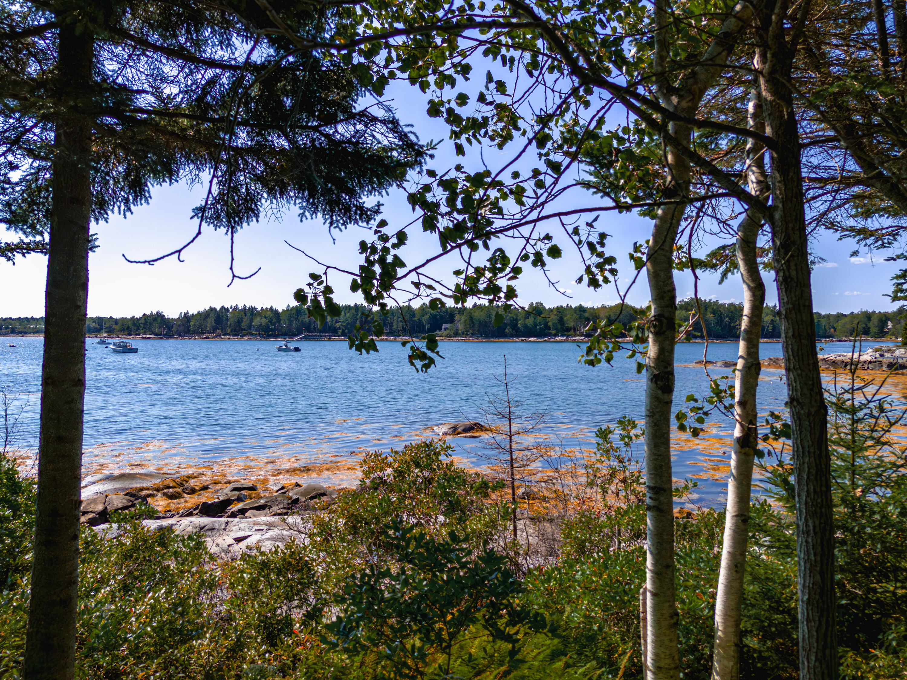 130 Harrington Cove Road Saint George ME 04859