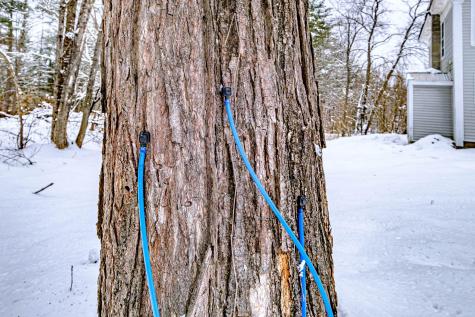 48 School Street Cornish ME 04020