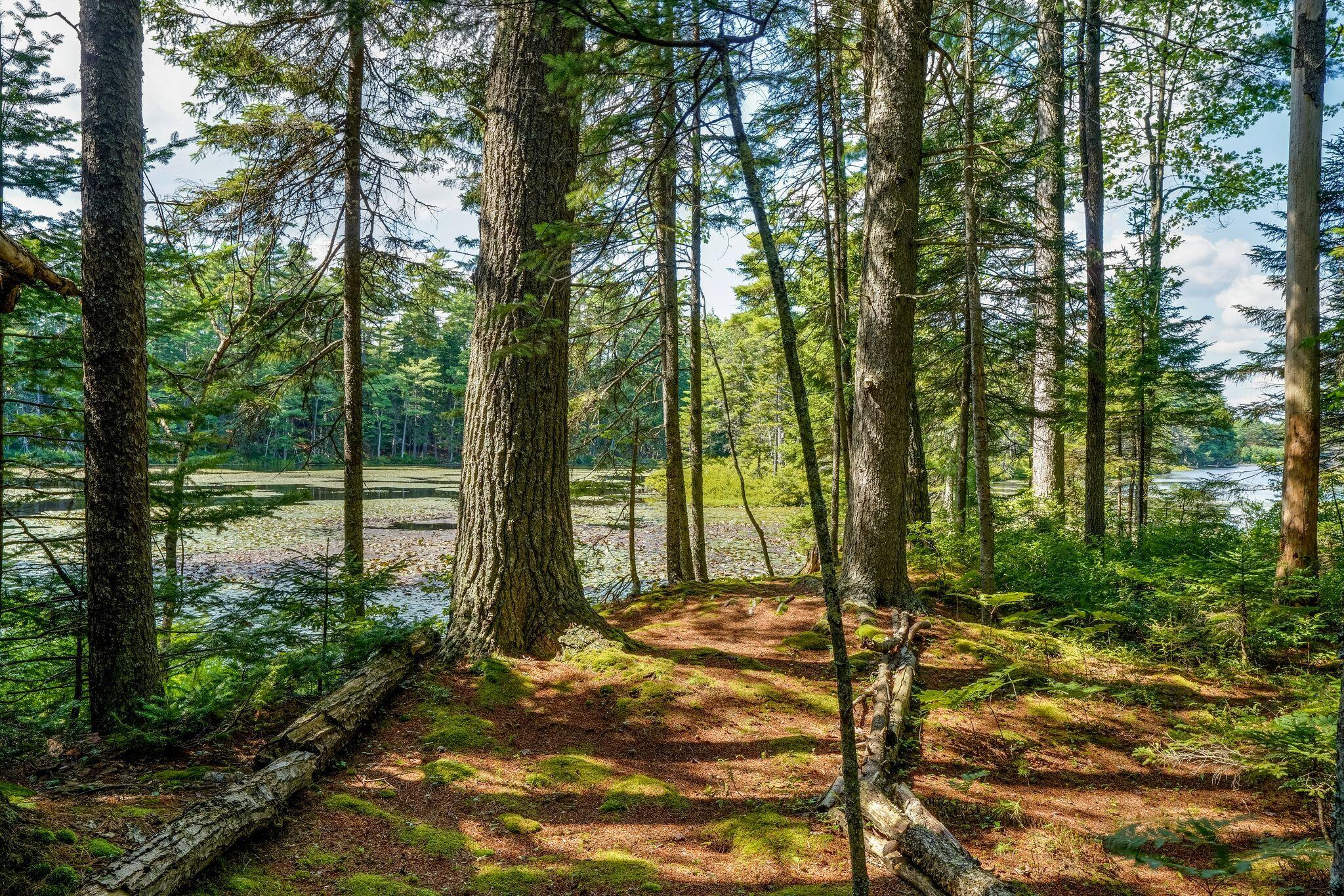 259 Houghton Pond Road West Bath ME 04530