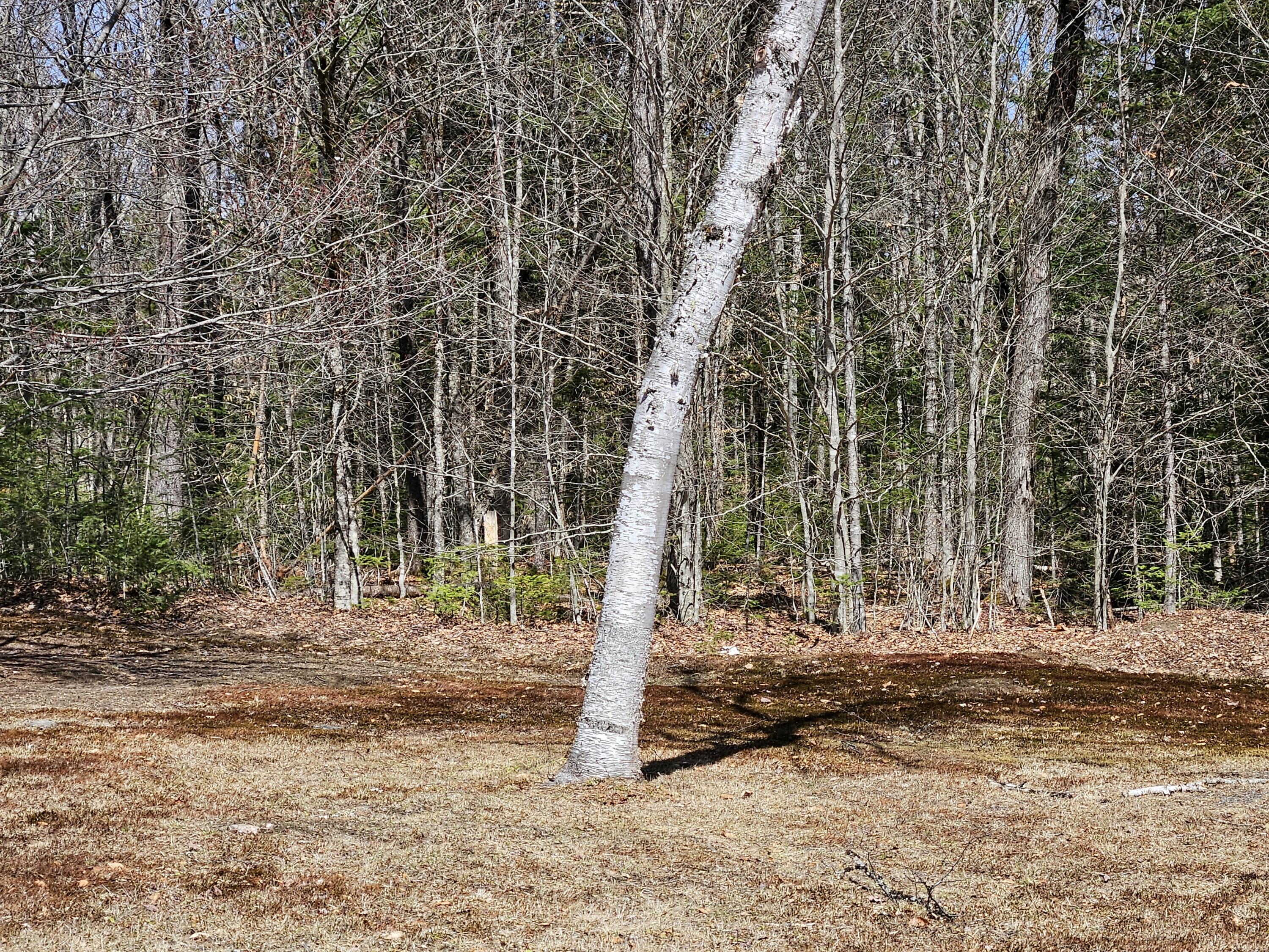 1757 County Road Orneville Twp ME 04463