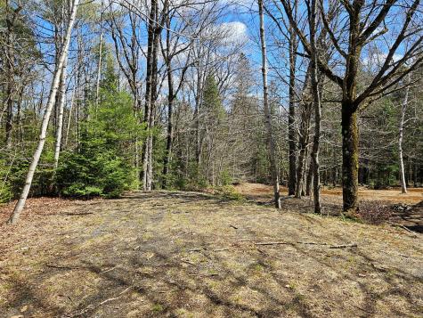 1757 County Road Orneville Twp ME 04463