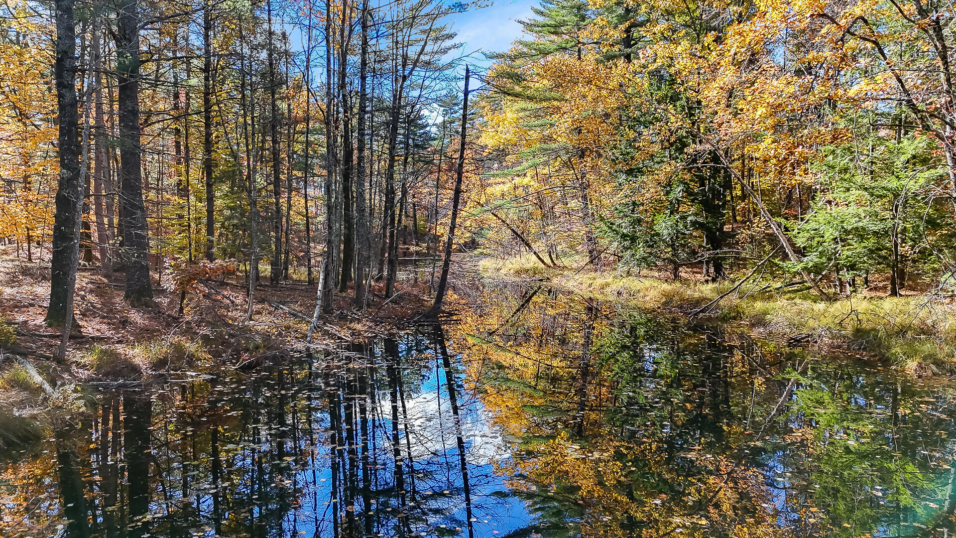 60 Sequoia Lane Waterboro ME 04061