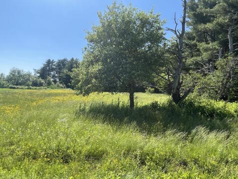 56 Foster Lane Dennysville ME 04628