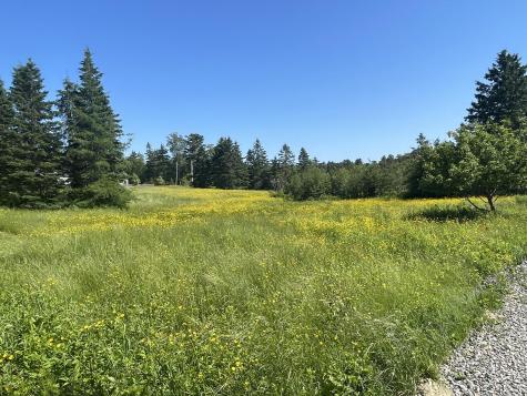 56 Foster Lane Dennysville ME 04628