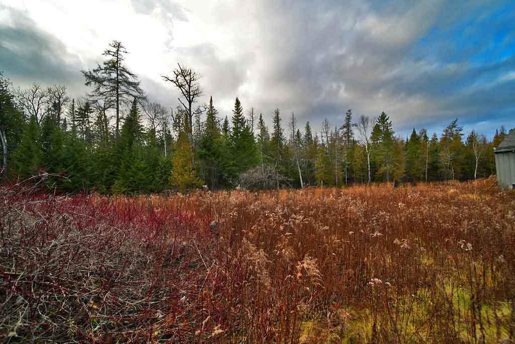 228 U.s. Route 1 Bridgewater ME 04735