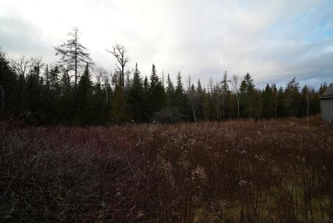 228 U.s. Route 1 Bridgewater ME 04735