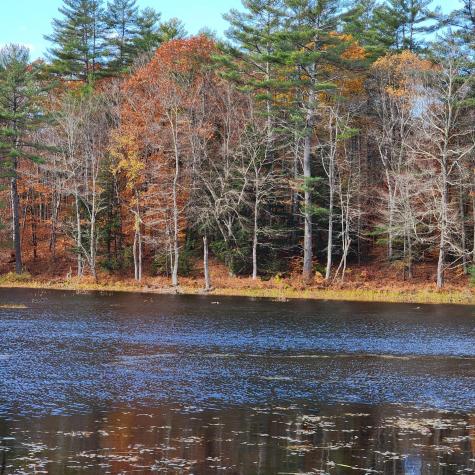 5 Dexter Pond Road Winthrop ME 04364