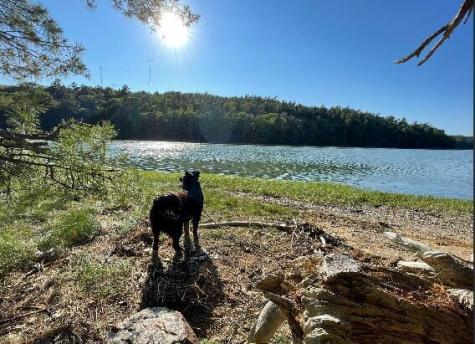 9 + 11 Orion Point Way Harpswell ME 04079