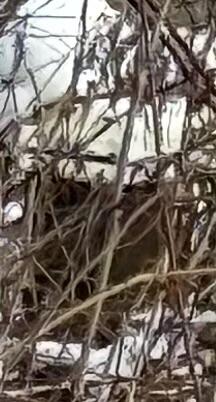 148 East Road Chesterville ME 04938