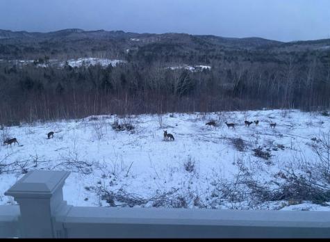 1882 North Road Cornish ME 04020