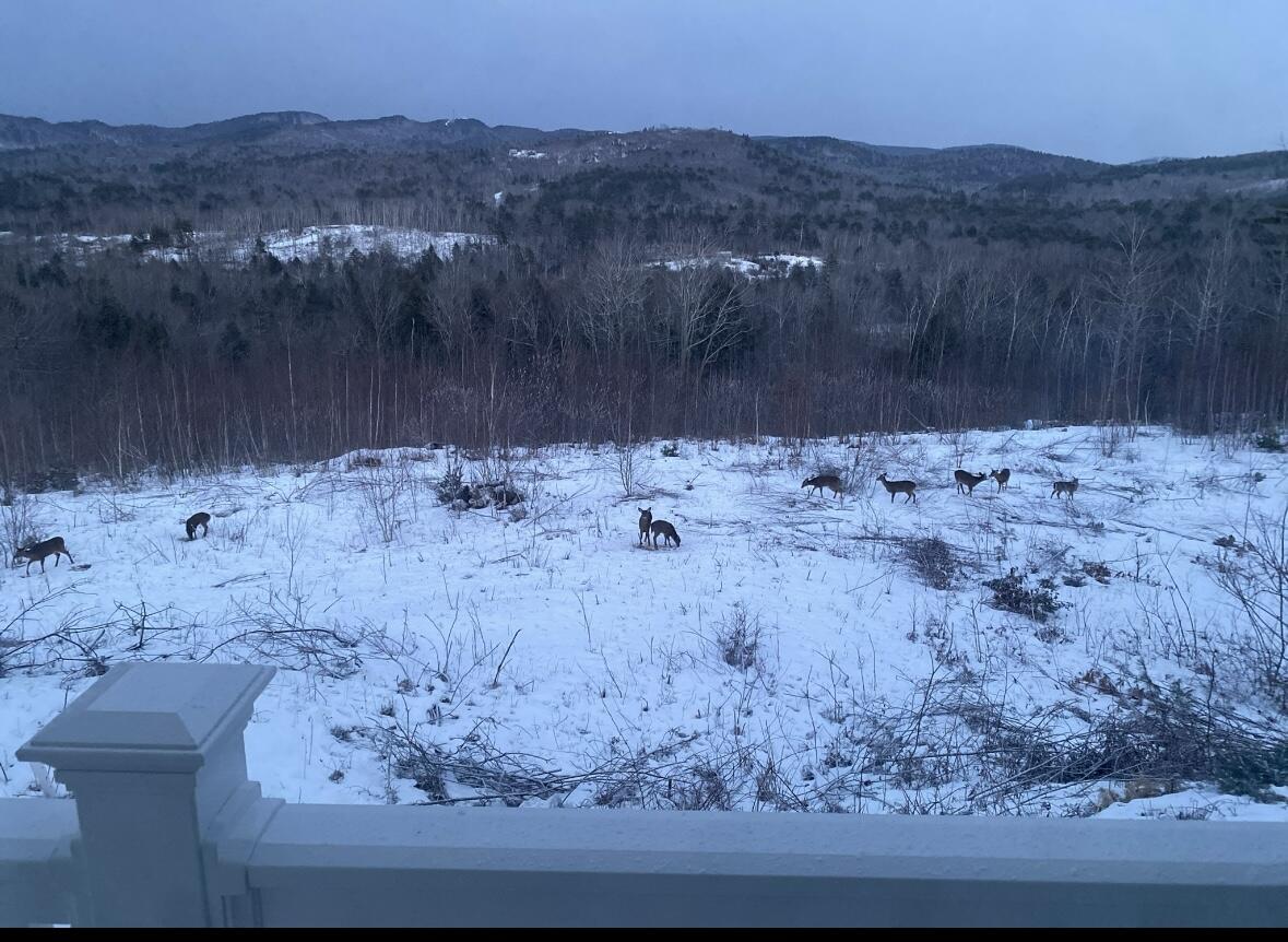 1882 North Road Cornish ME 04020