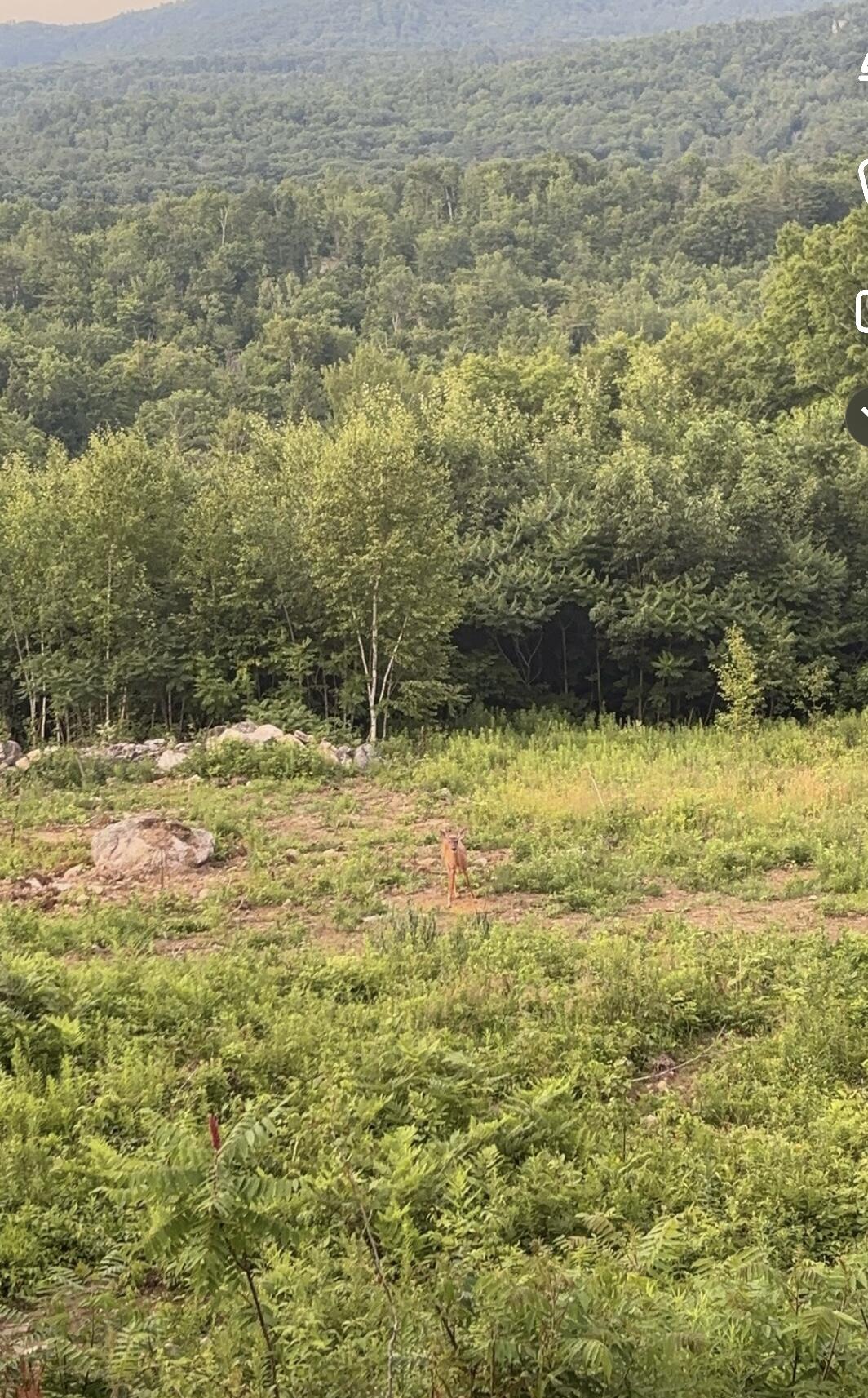 1882 North Road Cornish ME 04020