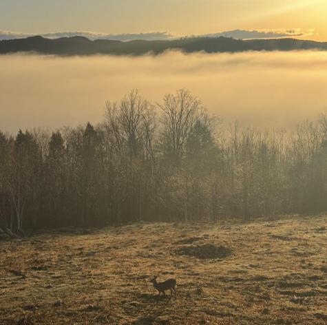 1882 North Road Cornish ME 04020