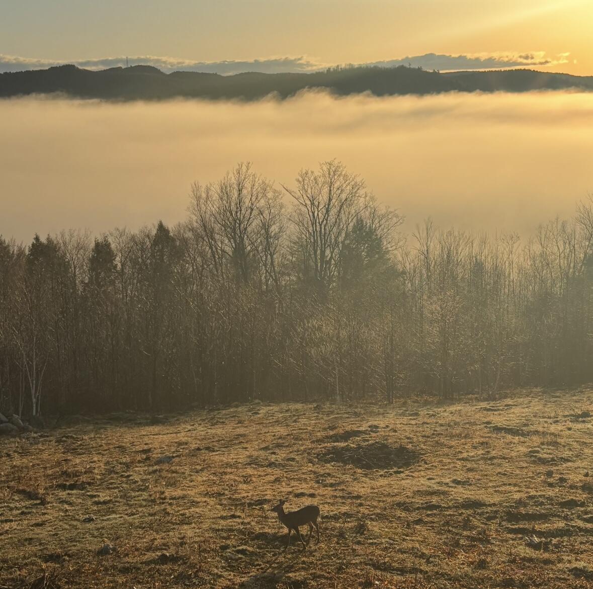 1882 North Road Cornish ME 04020