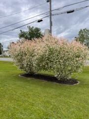 99 Shepherd Drive Bangor ME 04401