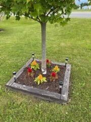 99 Shepherd Drive Bangor ME 04401