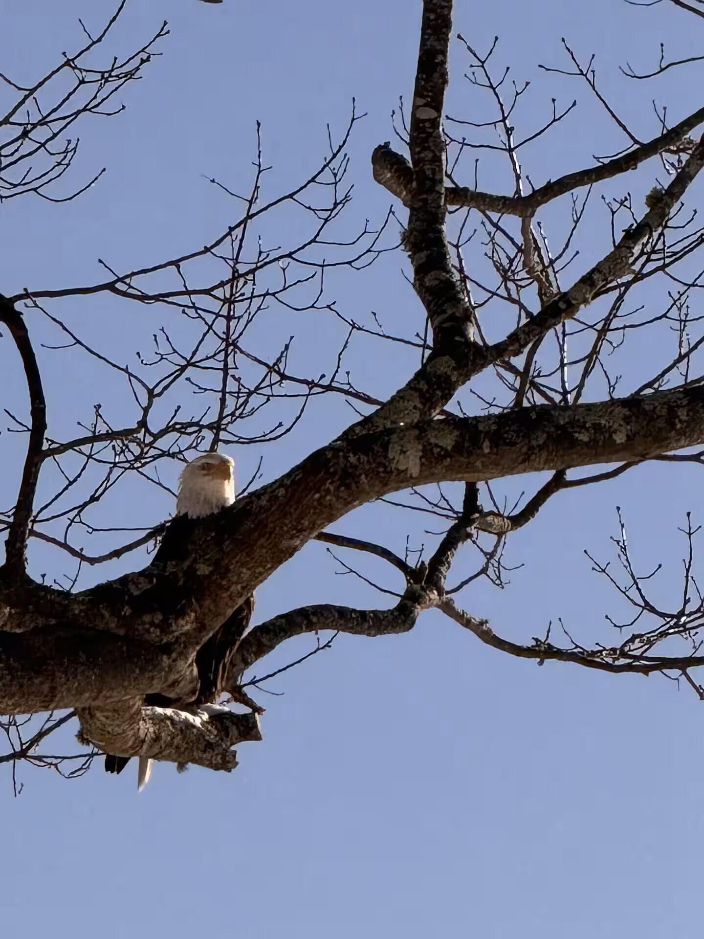 70 Maquoit Drive Freeport ME 04032