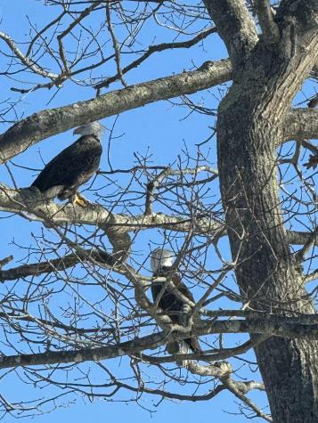 70 Maquoit Drive Freeport ME 04032