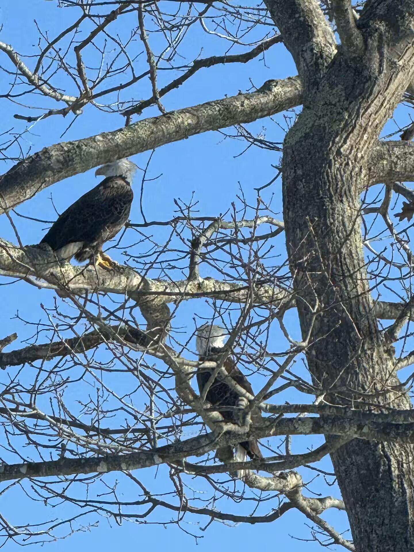 70 Maquoit Drive Freeport ME 04032