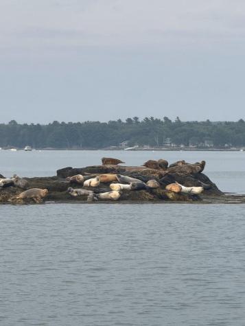 70 Maquoit Drive Freeport ME 04032