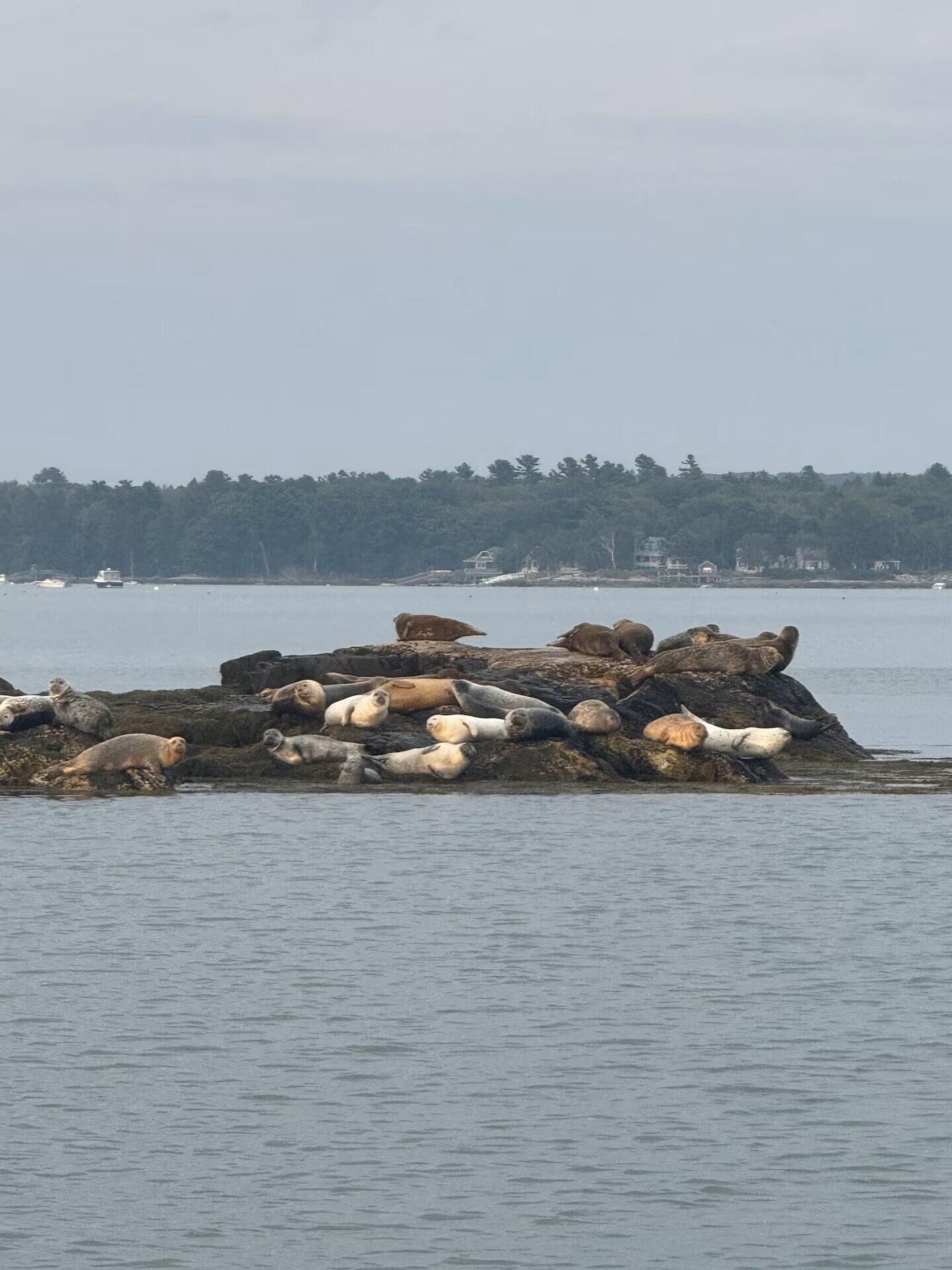 70 Maquoit Drive Freeport ME 04032