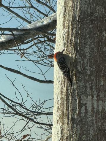 70 Maquoit Drive Freeport ME 04032