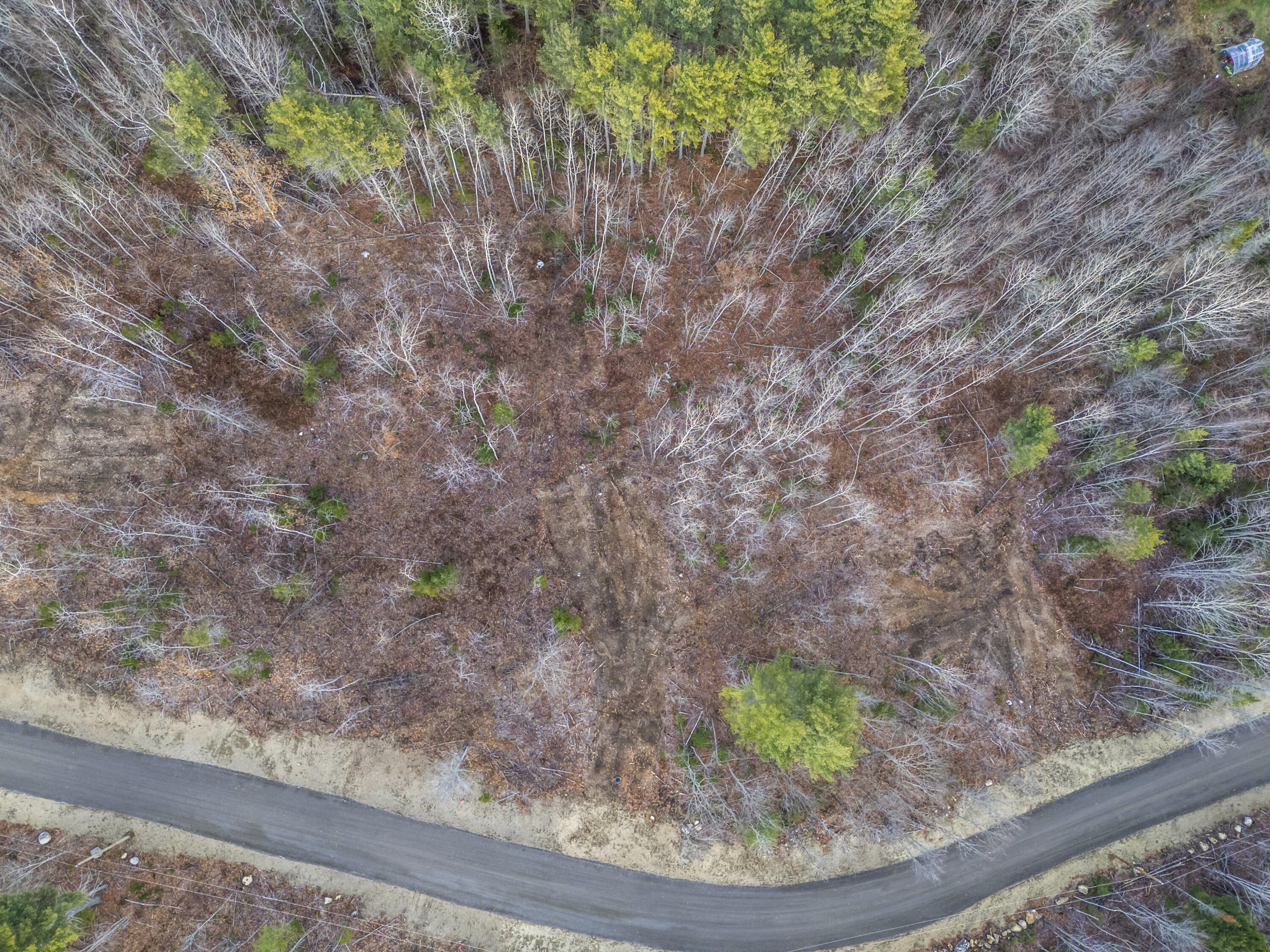 Lot 9 Pine Hill Road Palermo ME 04354