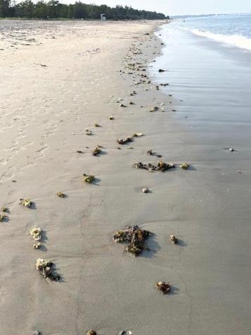 27 Sunrise Avenue Saco ME 04072