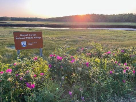 27 Sunrise Avenue Saco ME 04072