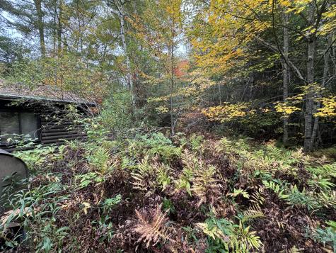 Map Pe013 Lot 28, 28.1, 29 Grindstone Twp ME 04460