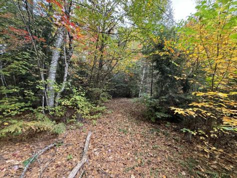 Map Pe013 Lot 28, 28.1, 29 Grindstone Twp ME 04460