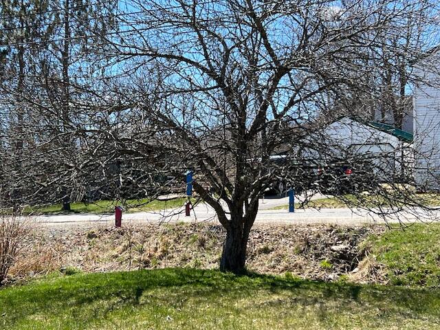 19 Hadley Lake Road East Machias ME 04630