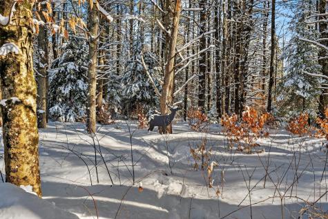 58 Quarterhorse Drive Bridgton ME 04009