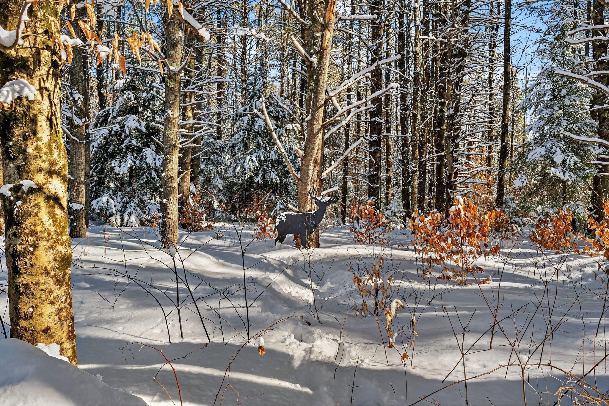 58 Quarterhorse Drive Bridgton ME 04009