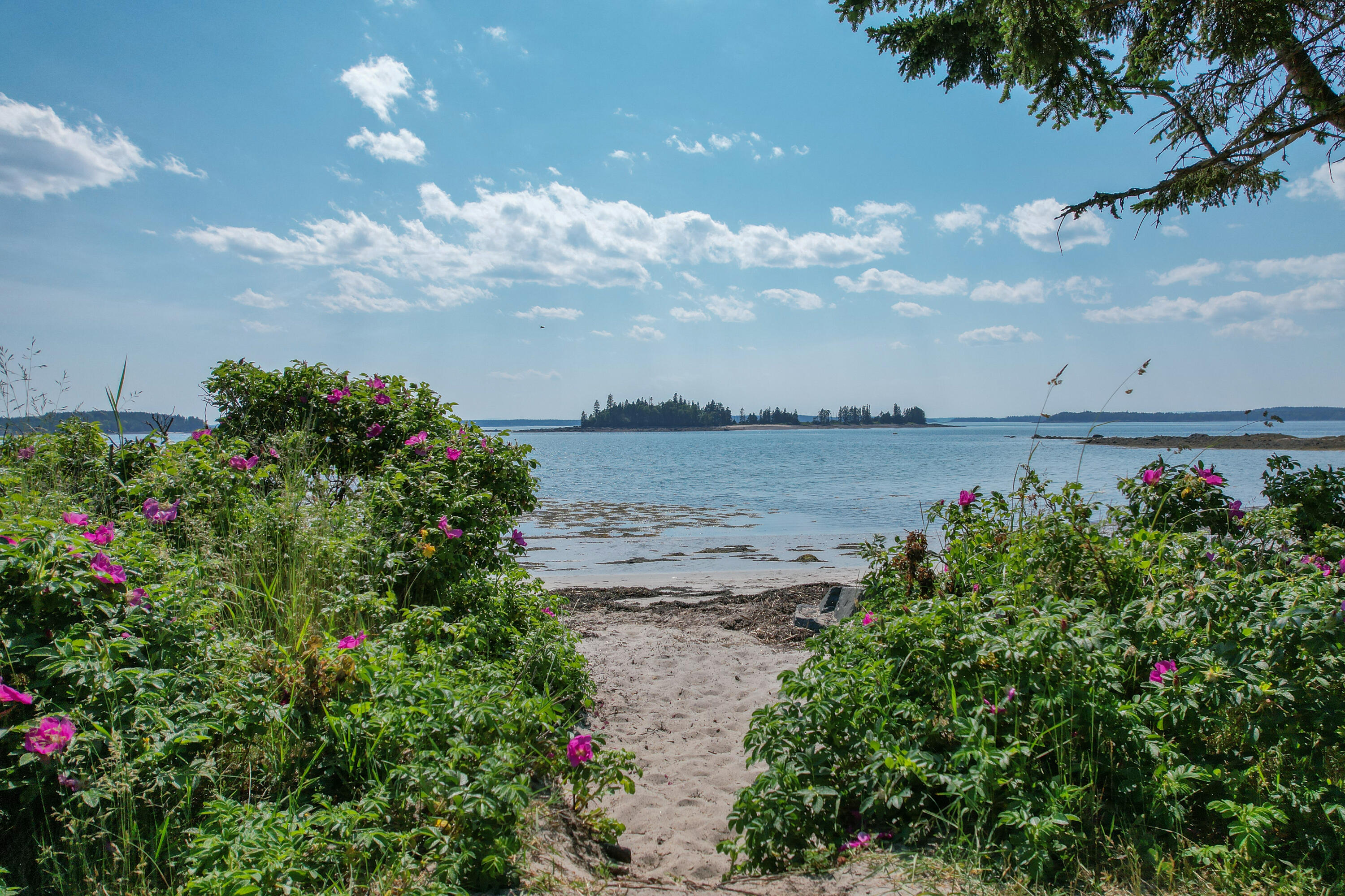 397 Cape Split Road Addison ME 04606