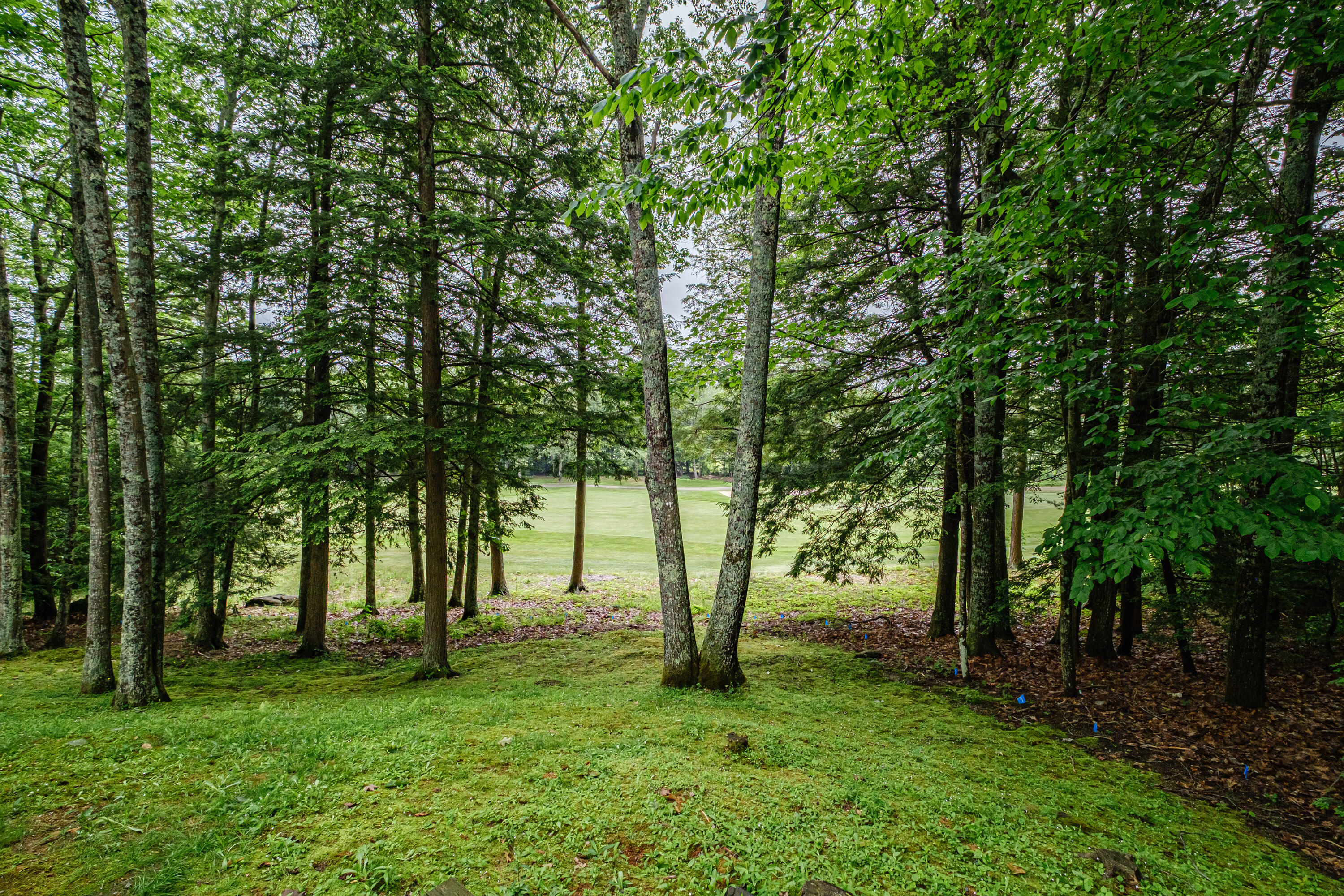 15 Inverness Road Falmouth ME 04105