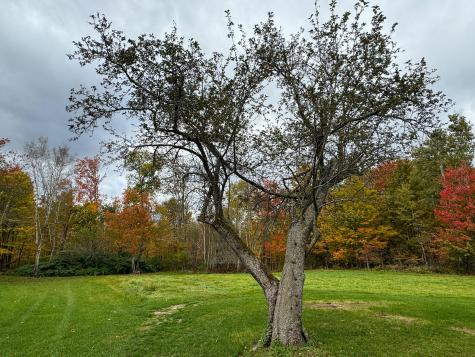 26 Melody Lane Saint Albans ME 04971