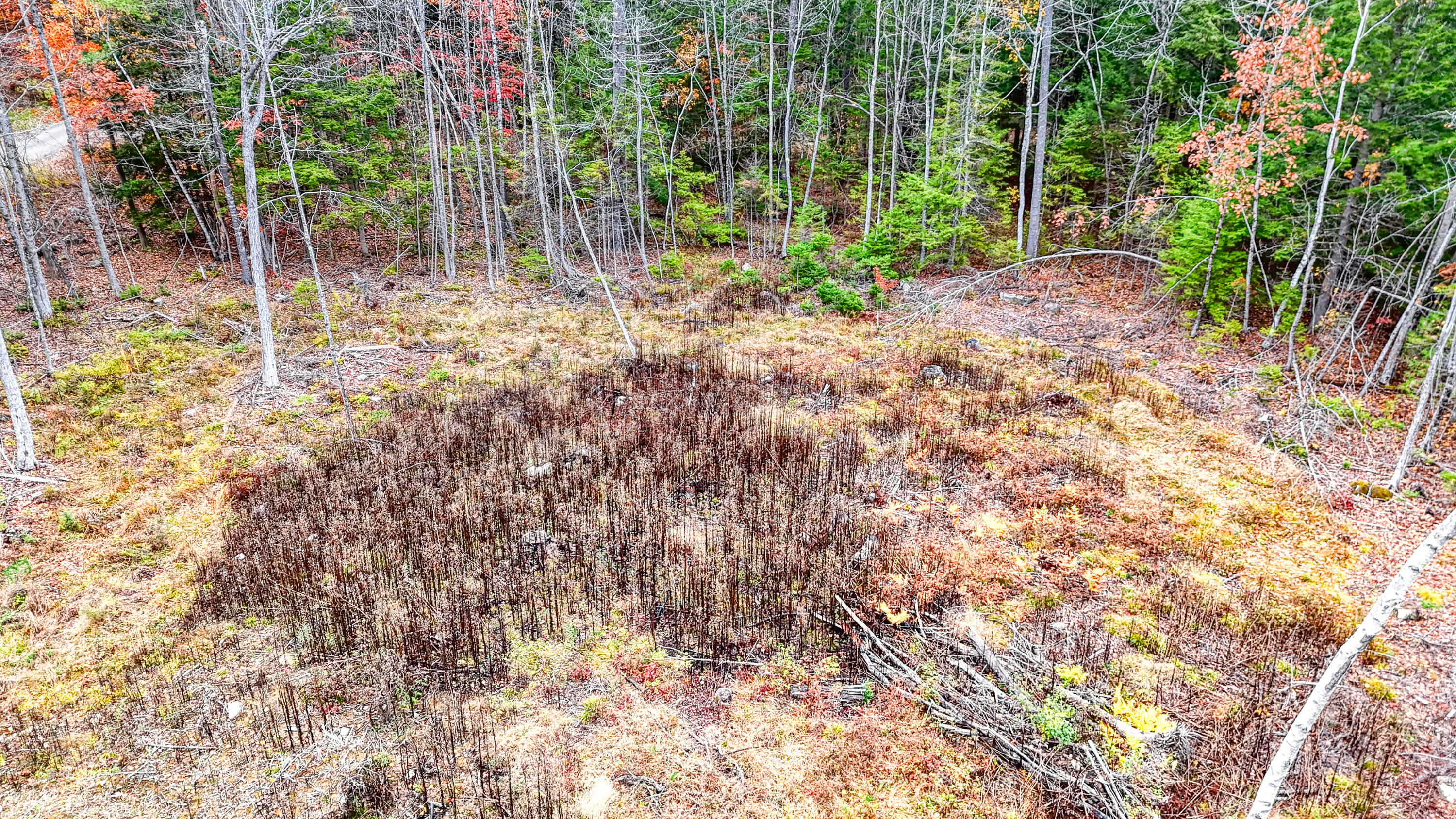 89 Lone Indian Trail Lot 4-a111 Trail Augusta ME 04330