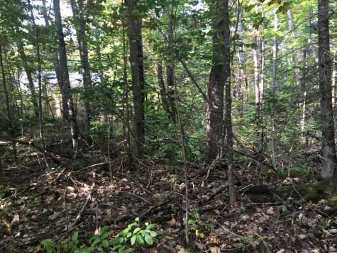 228 S Stagecoach Road Atkinson ME 04426