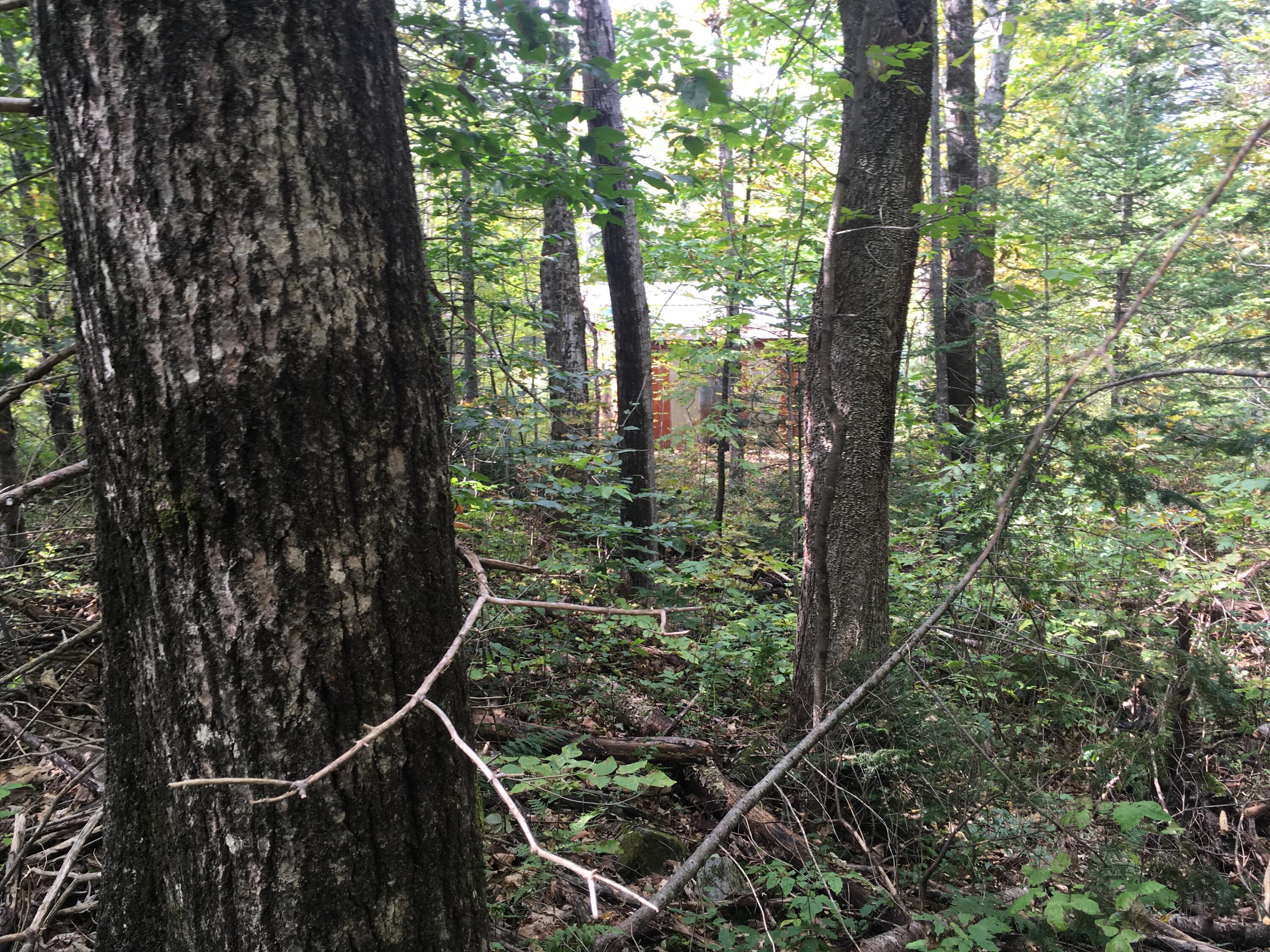 228 S Stagecoach Road Atkinson ME 04426