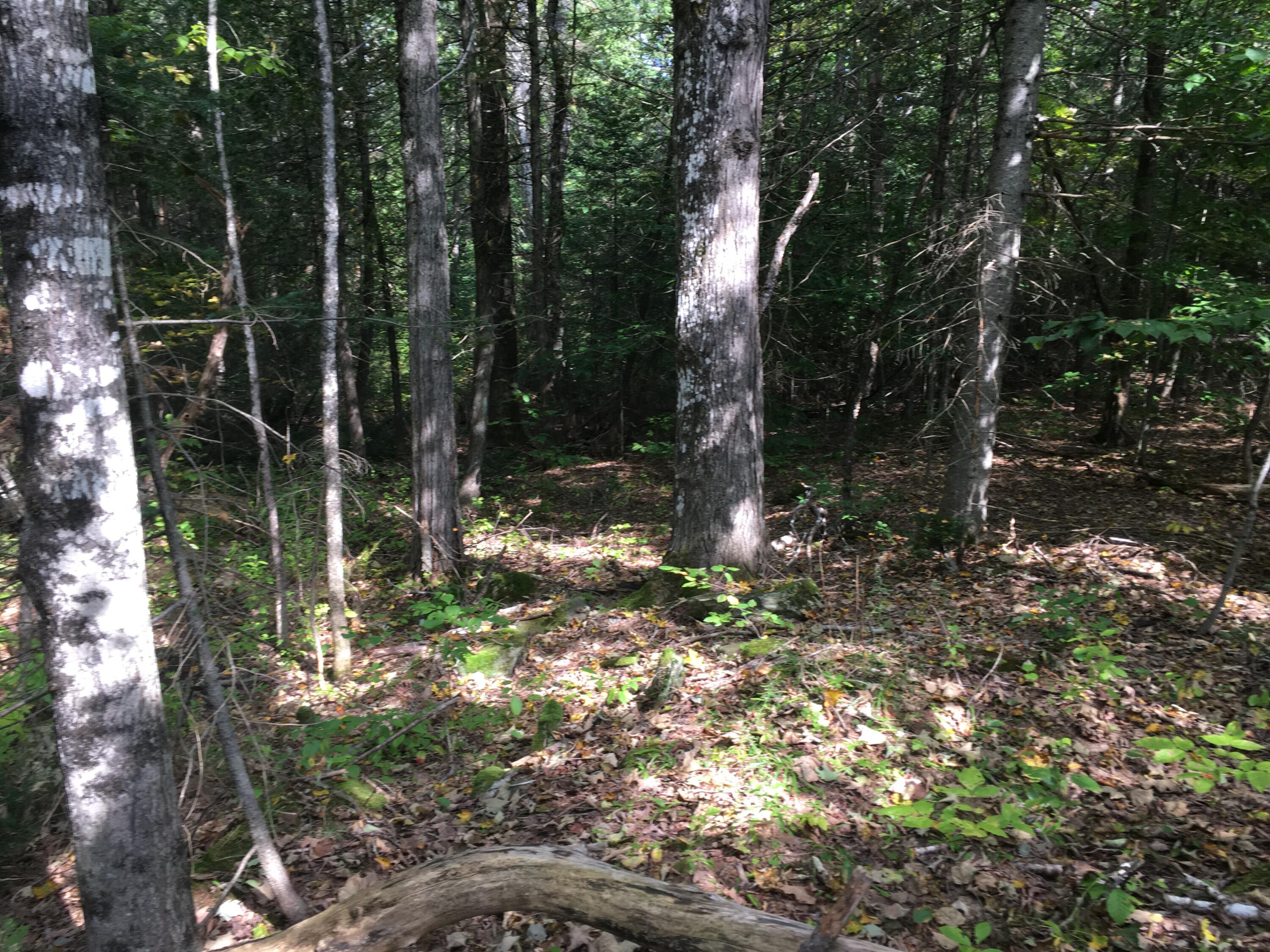 228 S Stagecoach Road Atkinson ME 04426