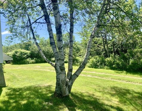 280 Little Machias Road Cutler ME 04626