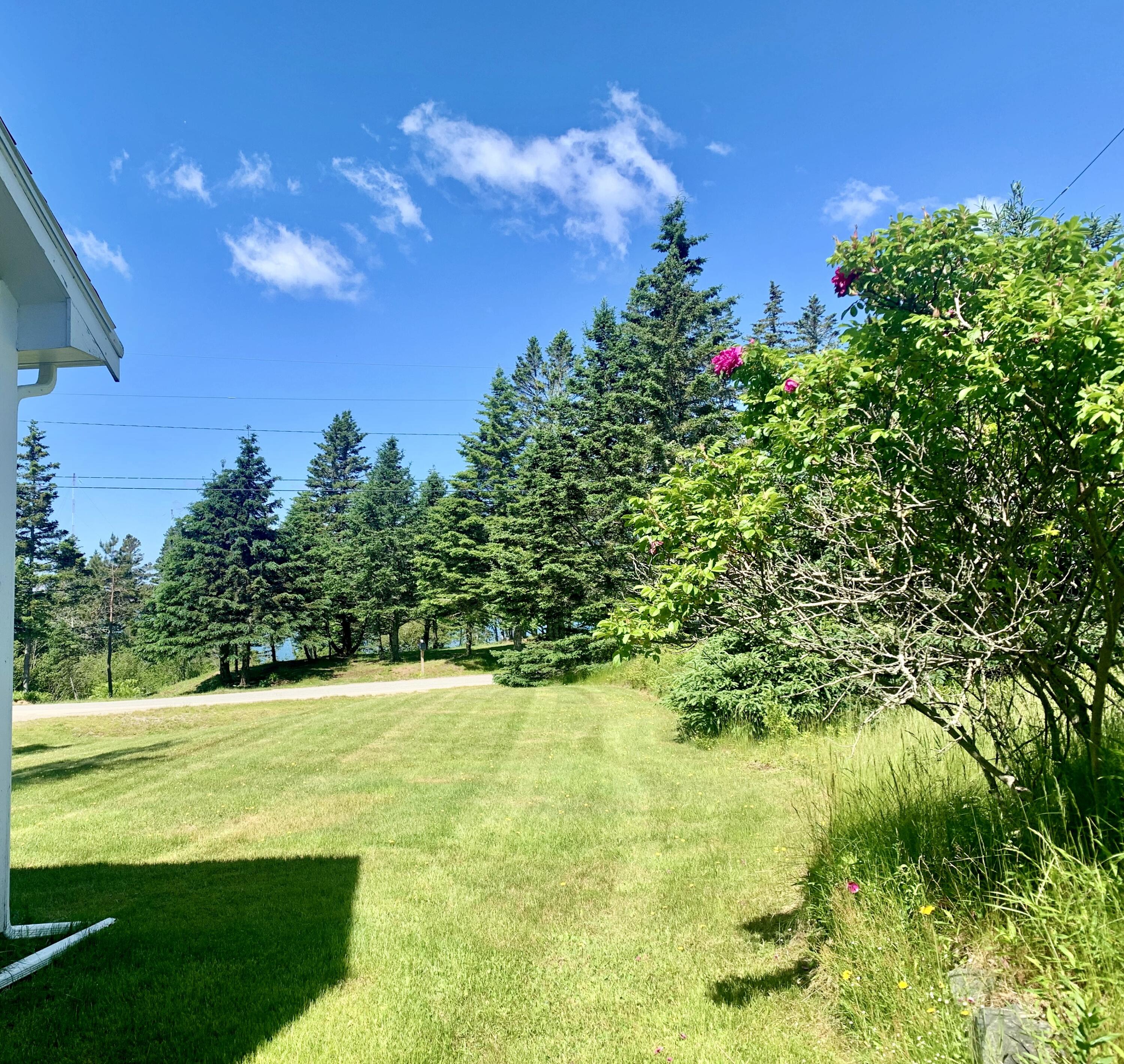 280 Little Machias Road Cutler ME 04626