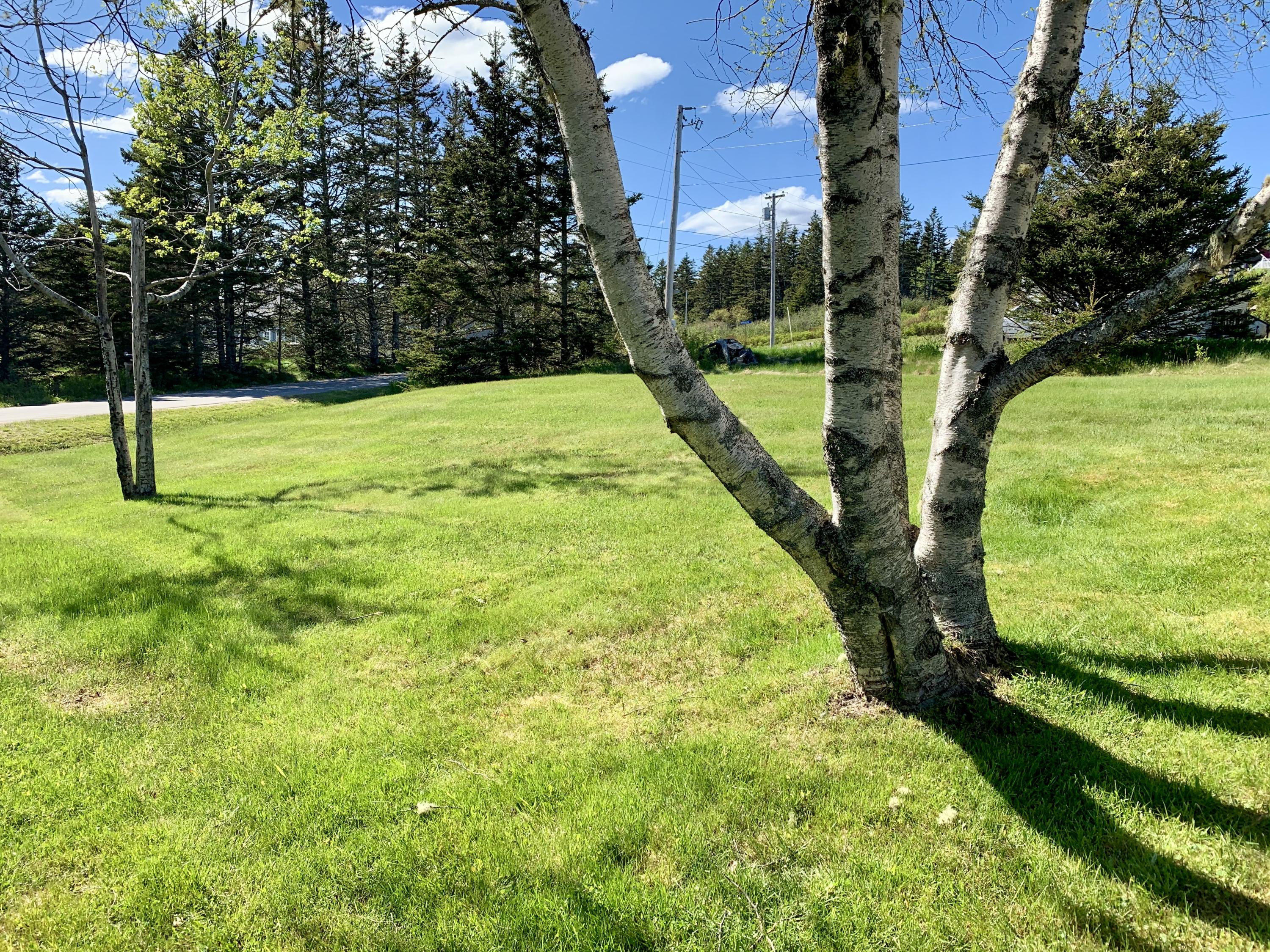 280 Little Machias Road Cutler ME 04626