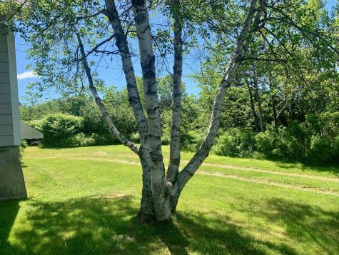 280 Little Machias Road Cutler ME 04626