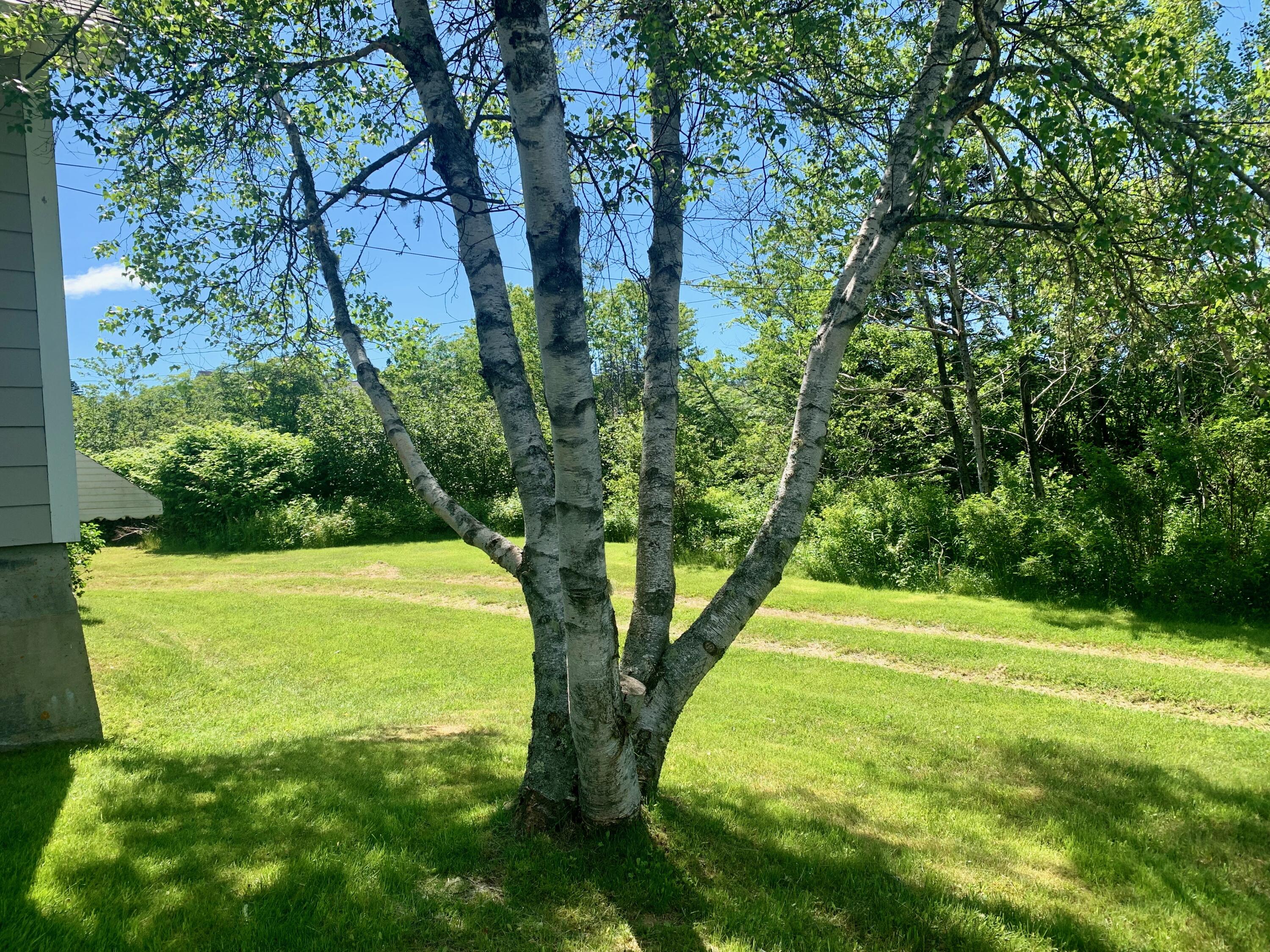 280 Little Machias Road Cutler ME 04626