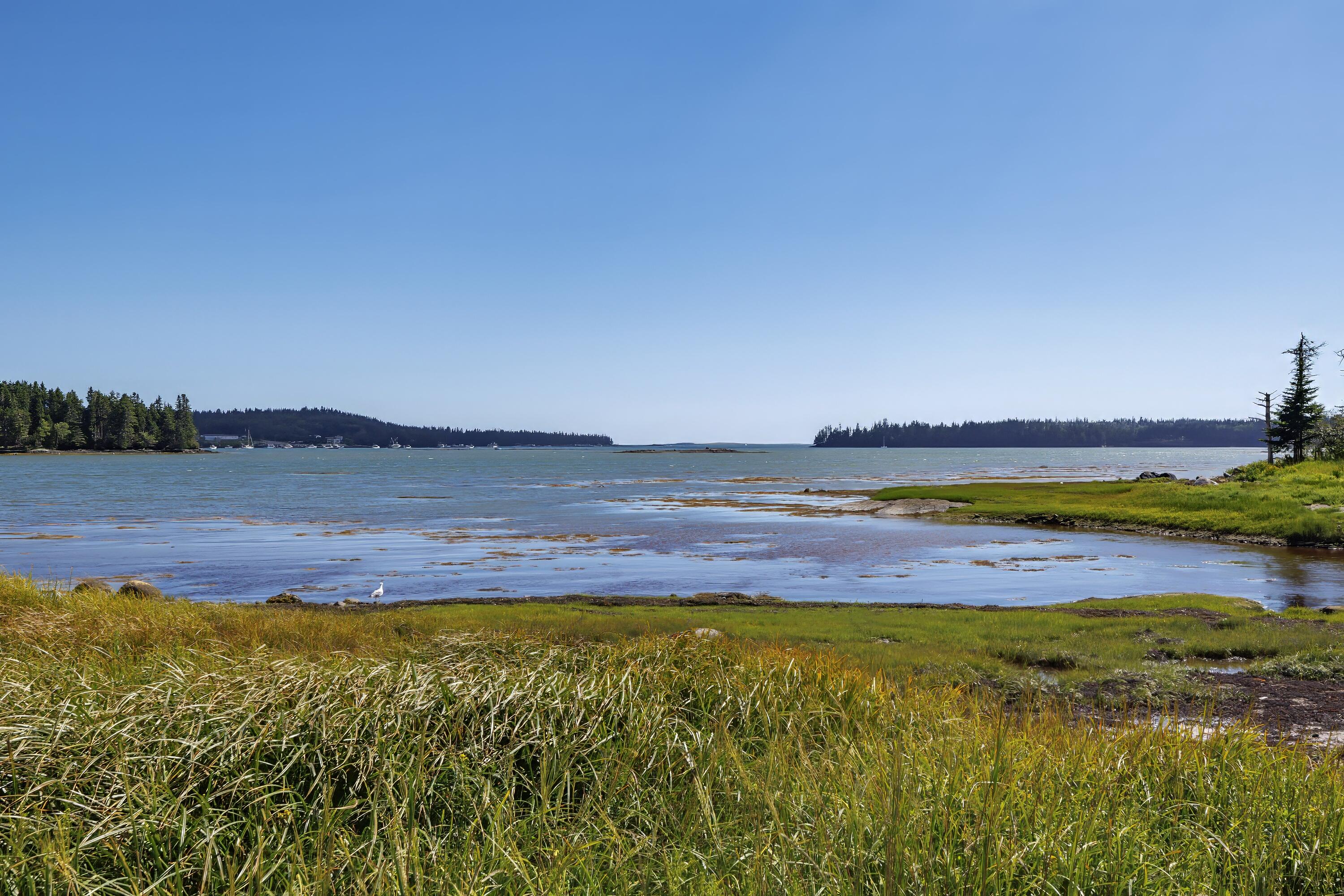 175 Nash Lane Addison ME 04606