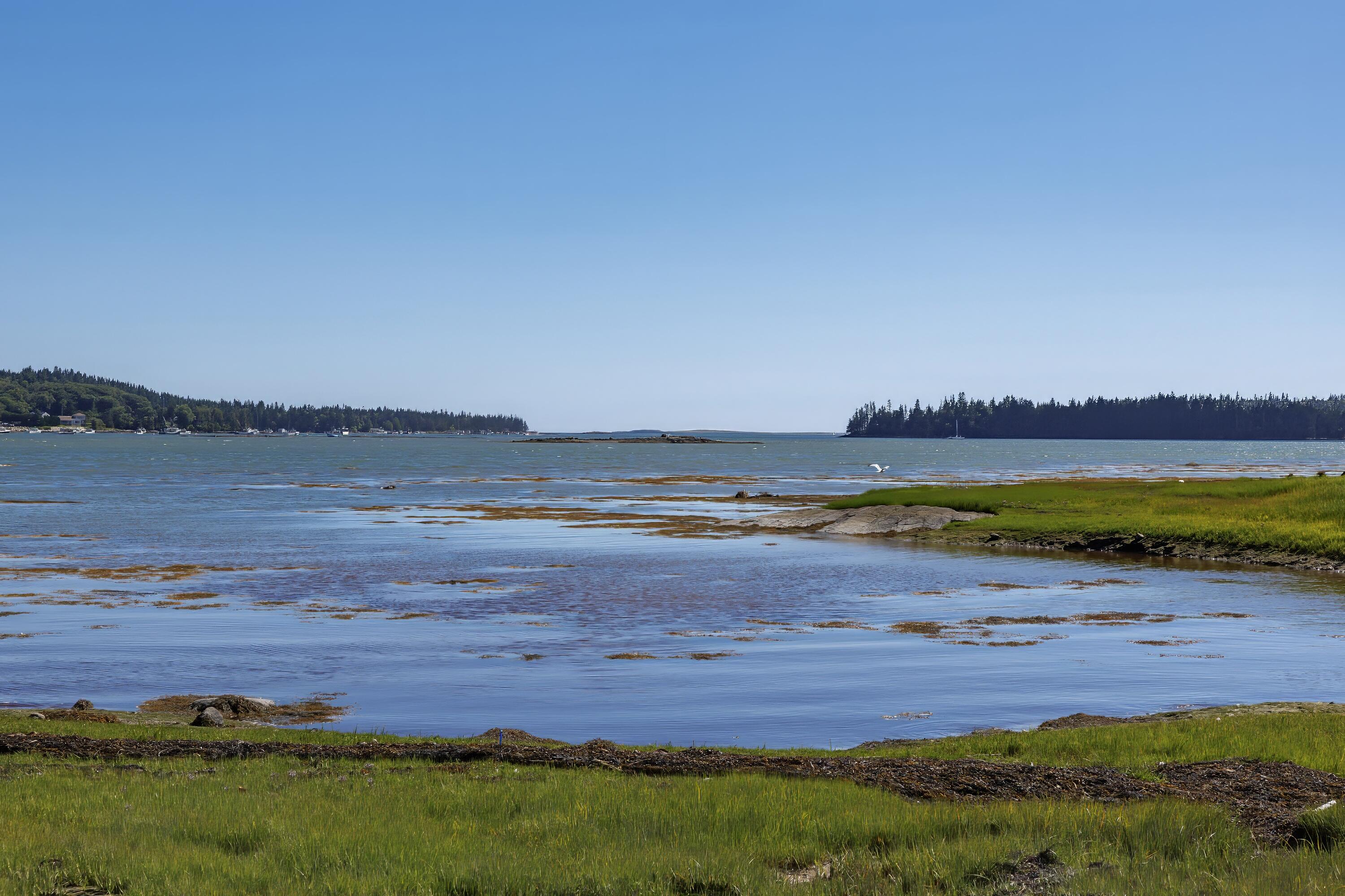 175 Nash Lane Addison ME 04606