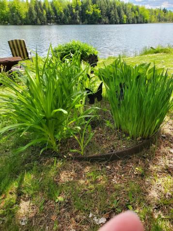 31 Swan Lane Dexter ME 04930