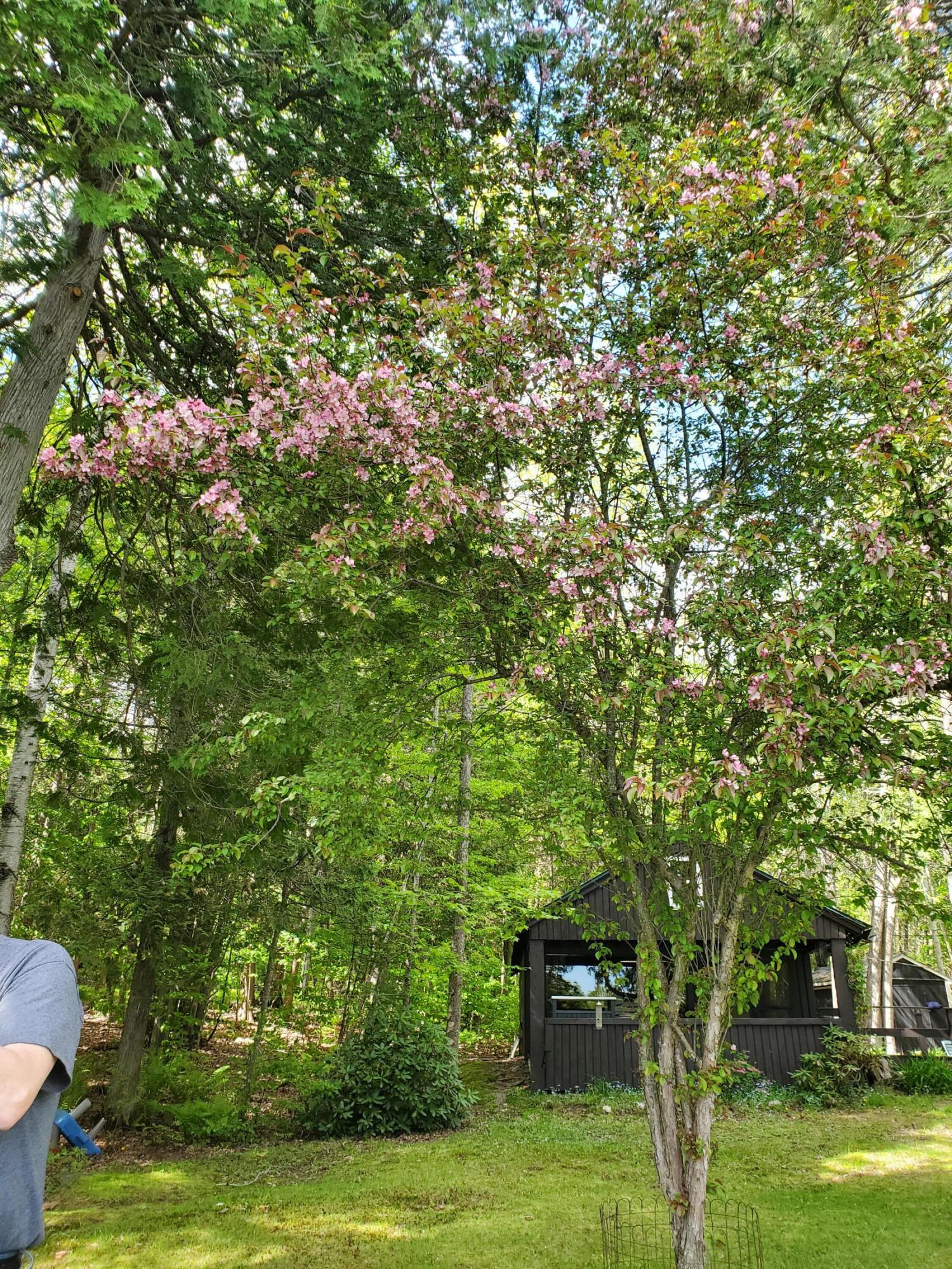 31 Swan Lane Dexter ME 04930